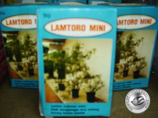 G19 LAMTORO MINI SEEDS 10GM